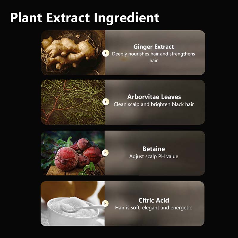 【BodyAid】Ginger Anti-Hair Fall Shampoo Anti Dandruff Fine Foam Prevent Hair Loss Stronger Hair
