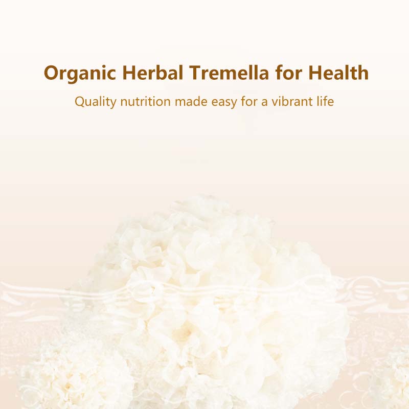 Bird's Nest Collagen Peptide Tremella Soup