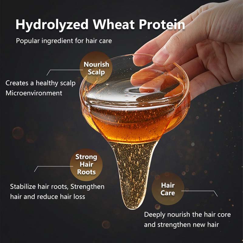 【BodyAid】Ginger Anti-Hair Fall Shampoo Anti Dandruff Fine Foam Prevent Hair Loss Stronger Hair