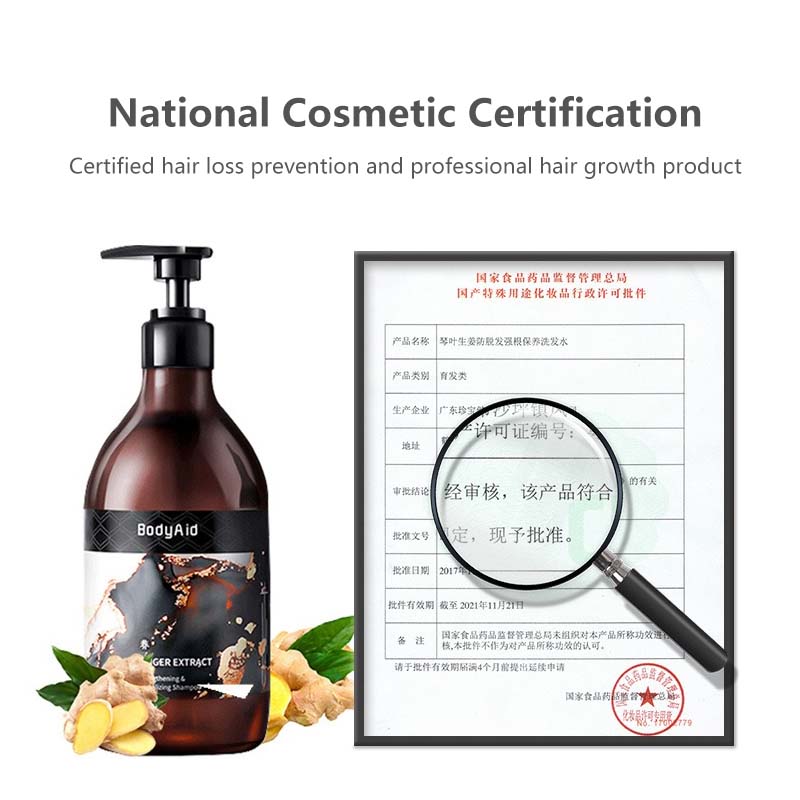 【BodyAid】Ginger Anti-Hair Fall Shampoo Anti Dandruff Fine Foam Prevent Hair Loss Stronger Hair