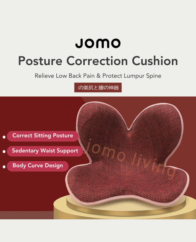 WorkMod Better Posture Contoured Lumbar Back Support