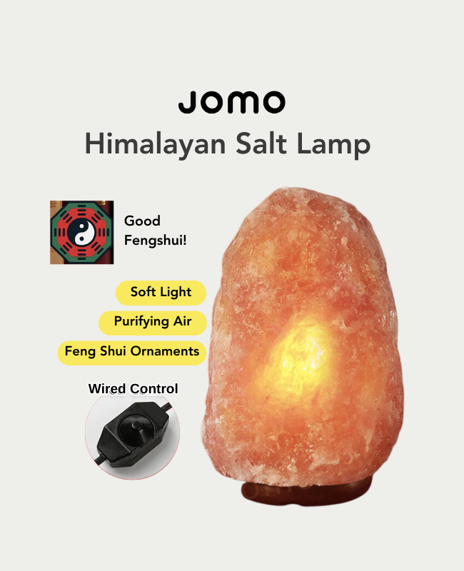 1 8KG Himalayan Rock Salt Lamp Natural Shaped Air Purifier Feng Shui