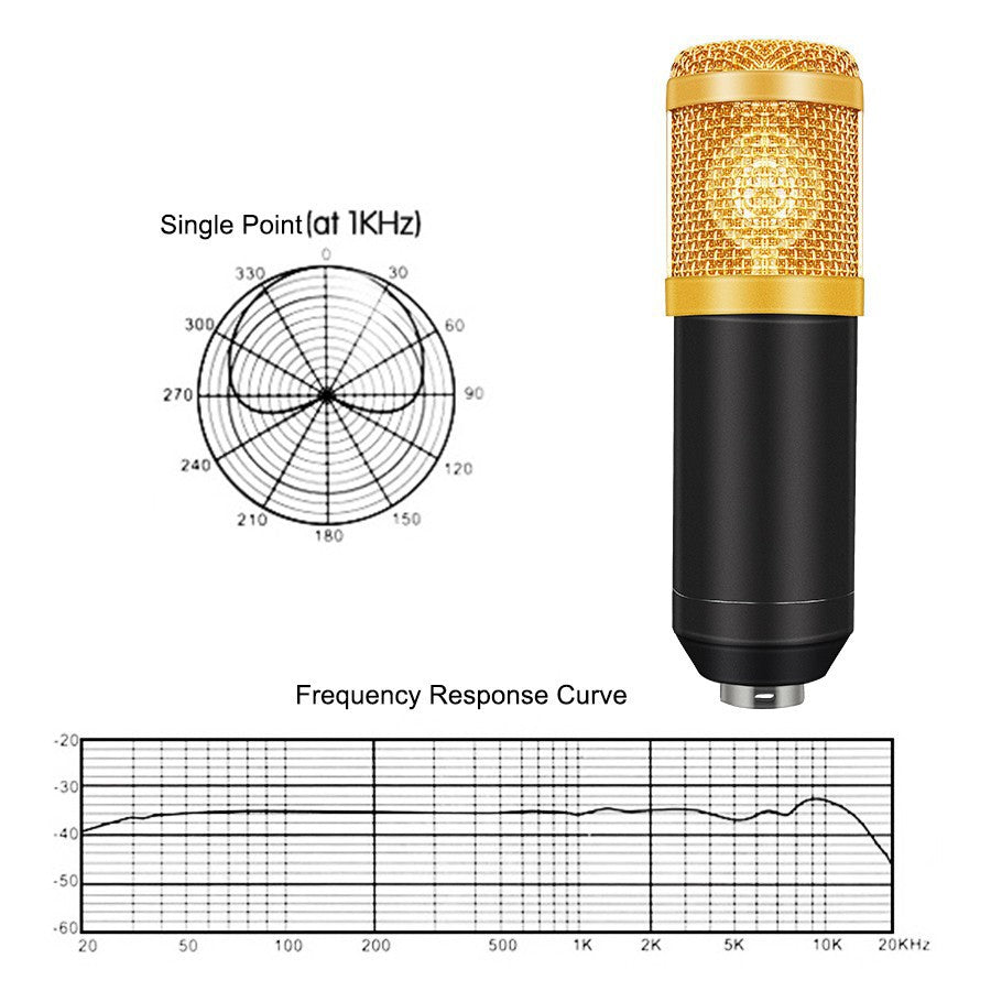 BM 800 Condenser Microphone Sound Recording For Radio Broad cast Singing KTV Karaoke Live broadcast