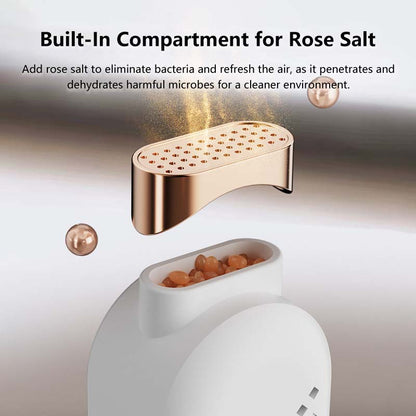 Fast Shoes Dryer Portable Electric Shoe Heater Sterilizer Sports Shoe Dryer Dehumdifier
