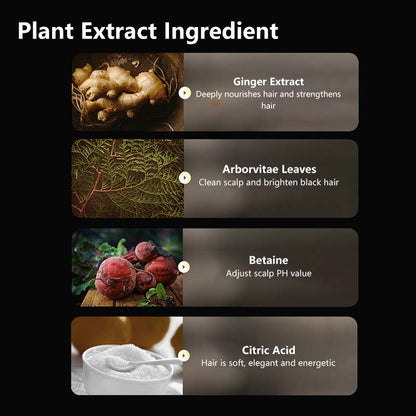 【BodyAid】Ginger Anti-Hair Fall Shampoo Anti Dandruff Fine Foam Prevent Hair Loss Stronger Hair
