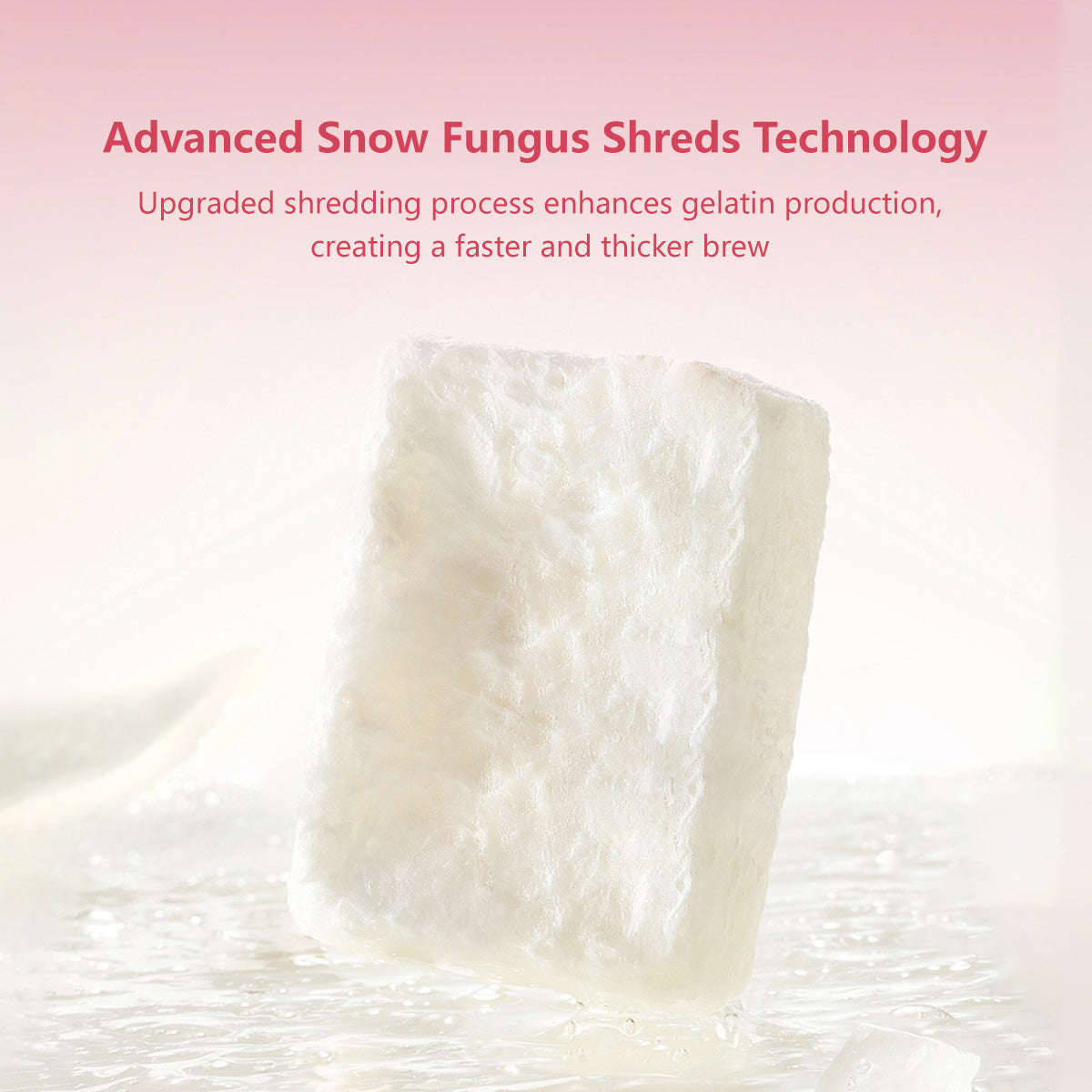 Bird's Nest Collagen Peptide Tremella Soup