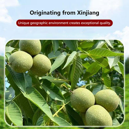 【Buy 3 Free 1】Hand-Peeled Toasted Walnuts (500g)