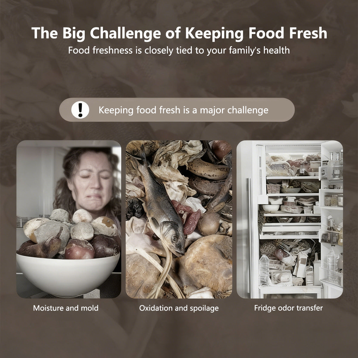 Automatic Vacuum Sealer Smart Fridge Storage Food Freshness Preserver Food Storage Saver Fast Vacuum