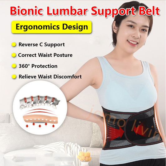 Spine Curve Ergonomic Design Waist Belt Support Pain Relief Back Posture Correction